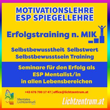 Motivationslehre ESP Spiegellehre - Erfolgstraining nach MIK